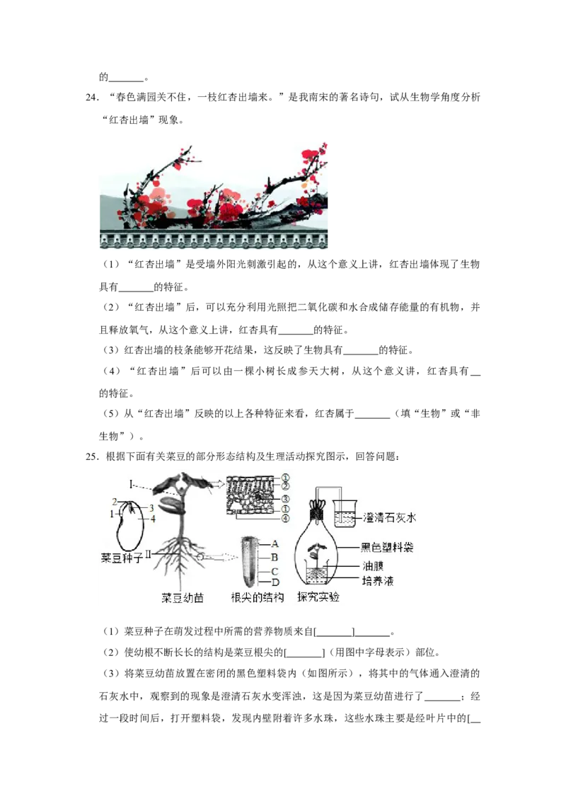 期末综合测试卷-（人教版）（原卷版）_初中全科电子版试卷练习试题_生物_生物人教版7上练习&mdash;24新版已更新_人教生物7年级上期末试卷11份