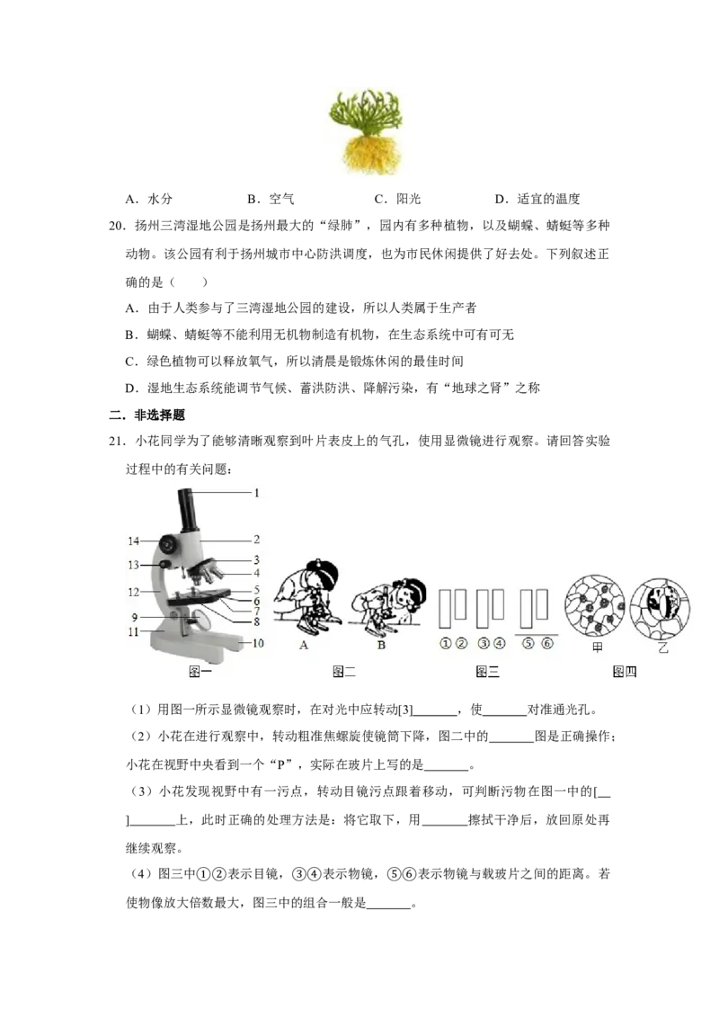 期末综合测试卷-（人教版）（原卷版）_初中全科电子版试卷练习试题_生物_生物人教版7上练习&mdash;24新版已更新_人教生物7年级上期末试卷11份