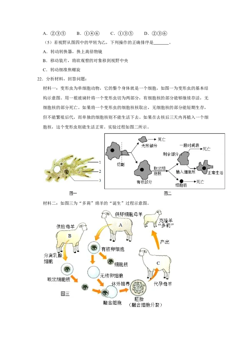 期末综合测试卷-（人教版）（原卷版）_初中全科电子版试卷练习试题_生物_生物人教版7上练习&mdash;24新版已更新_人教生物7年级上期末试卷11份