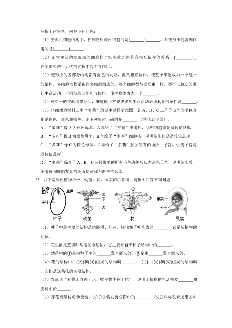 期末综合测试卷-（人教版）（原卷版）_初中全科电子版试卷练习试题_生物_生物人教版7上练习&mdash;24新版已更新_人教生物7年级上期末试卷11份
