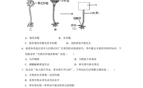 期末综合测试卷-（人教版）（原卷版）_初中全科电子版试卷练习试题_生物_生物人教版7上练习&mdash;24新版已更新_人教生物7年级上期末试卷11份