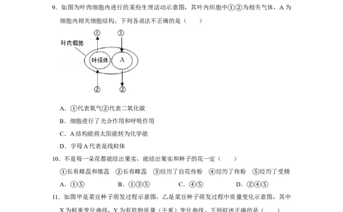 期末综合测试卷-（人教版）（原卷版）_初中全科电子版试卷练习试题_生物_生物人教版7上练习&mdash;24新版已更新_人教生物7年级上期末试卷11份
