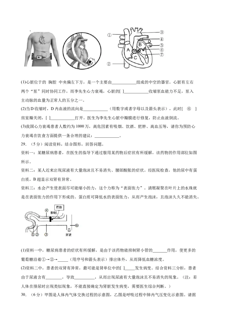 生物02卷（人教版七年级下册全部）-（考试版）A4（范围：七下全册）_new_初中全科电子版试卷练习试题_生物_生物人教版7下练习_人教生物7年级下期末试卷11份