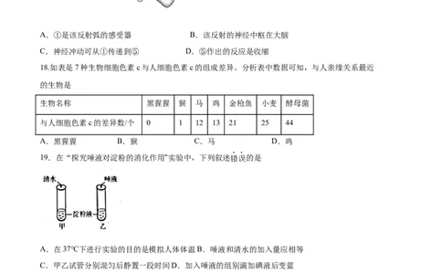 生物02卷（人教版七年级下册全部）-（考试版）A4（范围：七下全册）_new_初中全科电子版试卷练习试题_生物_生物人教版7下练习_人教生物7年级下期末试卷11份