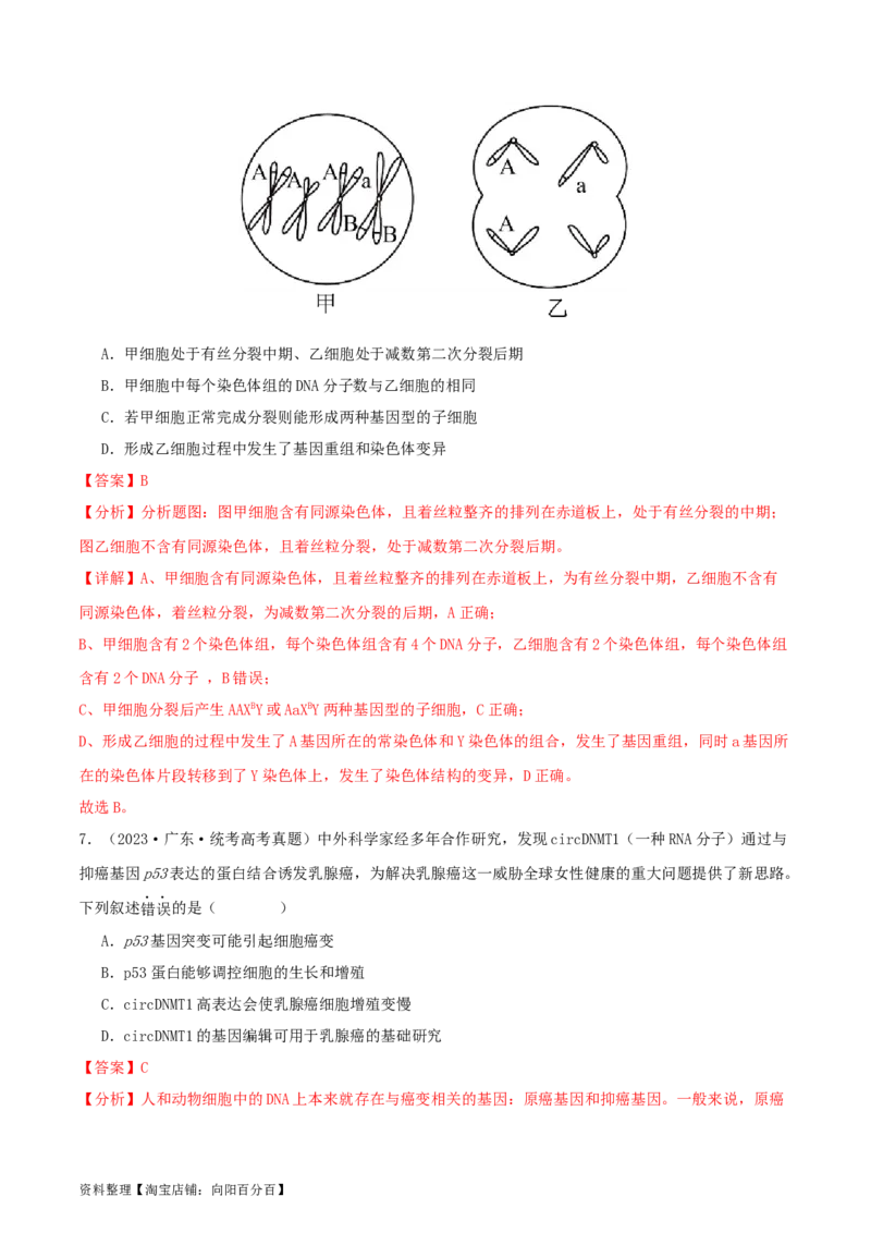 专题综合练07变异与进化(解析版)_新高考复习资料_2024年新高考复习资料_一轮复习资料_完备战2024年高考生物一轮复习考点帮（新高考）_必修2