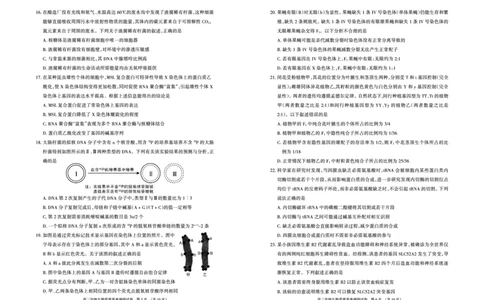 内蒙古呼和浩特市2022-2023学年高三上学期质量普查调研考试生物试题_生物高考模拟题_新高考_2023年_内蒙古自治区呼和浩特市高三上学期质量普查调研考试（一模）生物