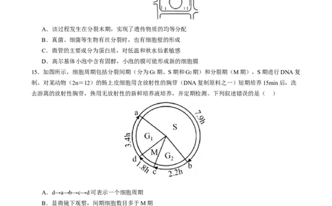 专题三细胞的生命历程（原卷版）_2025年新高考资料_二轮复习_上好课2025年高考生物二轮复习讲练测（新高考通用）3380526