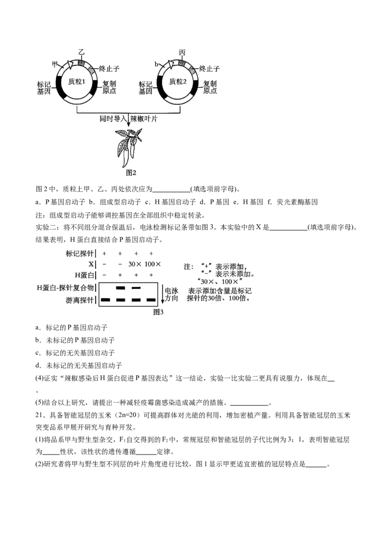信息必刷卷05（北京专用）（原卷版）_2025年新高考资料_2025考前信息卷_2025年高考生物考前信息必刷卷（北京专用）34427555