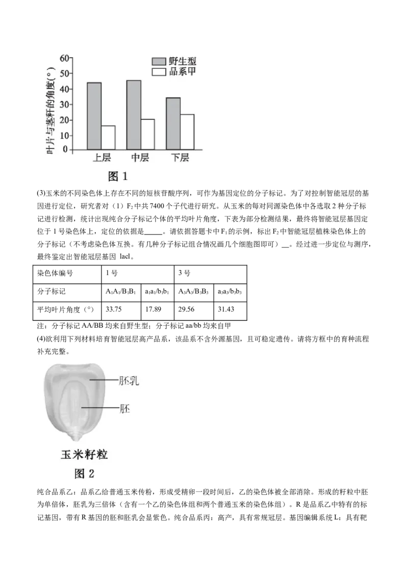 信息必刷卷05（北京专用）（原卷版）_2025年新高考资料_2025考前信息卷_2025年高考生物考前信息必刷卷（北京专用）34427555