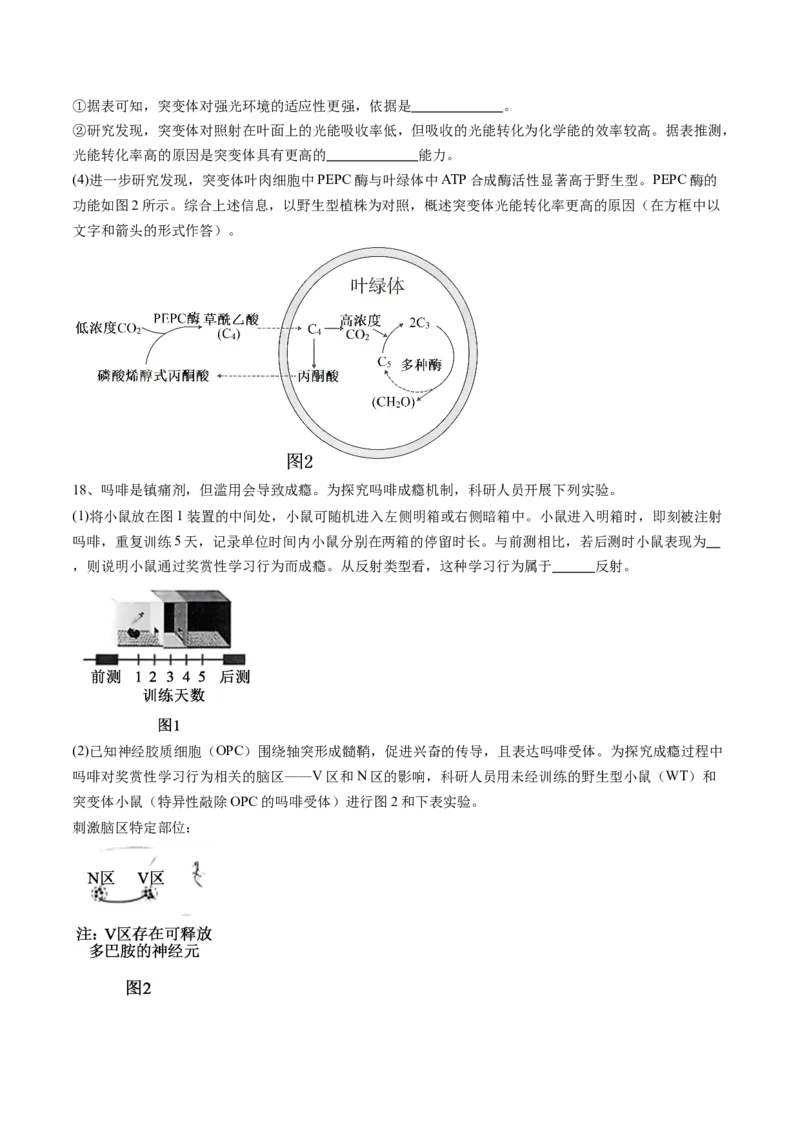信息必刷卷05（北京专用）（原卷版）_2025年新高考资料_2025考前信息卷_2025年高考生物考前信息必刷卷（北京专用）34427555