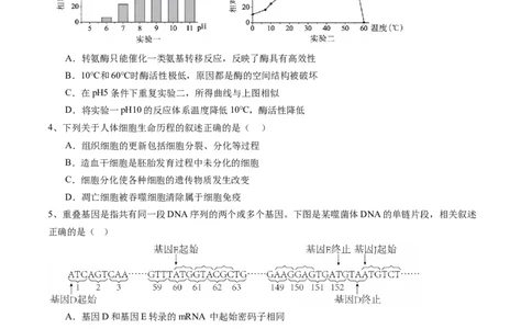 信息必刷卷05（北京专用）（原卷版）_2025年新高考资料_2025考前信息卷_2025年高考生物考前信息必刷卷（北京专用）34427555