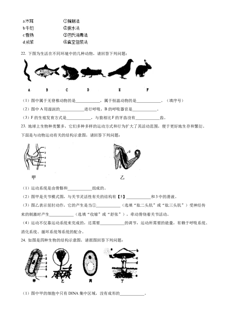 八年级上学期期中生物试题04（原卷版）_初中全科电子版试卷练习试题_生物_生物8上练习_人教生物8年级上期中试卷08份