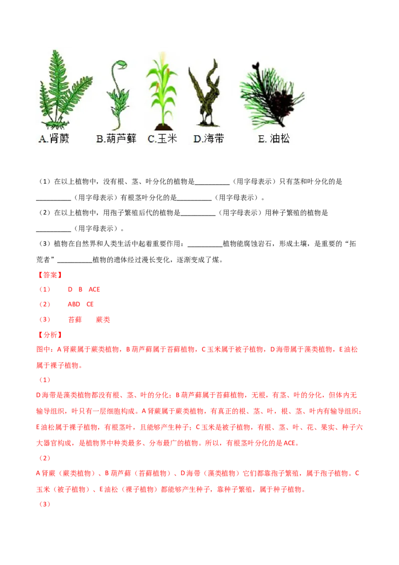 第03单元第01章生物圈中有哪些绿色植物、02章被子植物的一生单元测试（B卷&middot;提升能力）（解析版）_初中全科电子版试卷练习试题_生物_生物人教版7上练习&mdash;24新版已更新