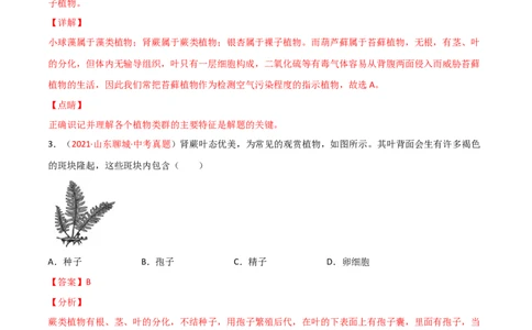 第03单元第01章生物圈中有哪些绿色植物、02章被子植物的一生单元测试（B卷&middot;提升能力）（解析版）_初中全科电子版试卷练习试题_生物_生物人教版7上练习&mdash;24新版已更新