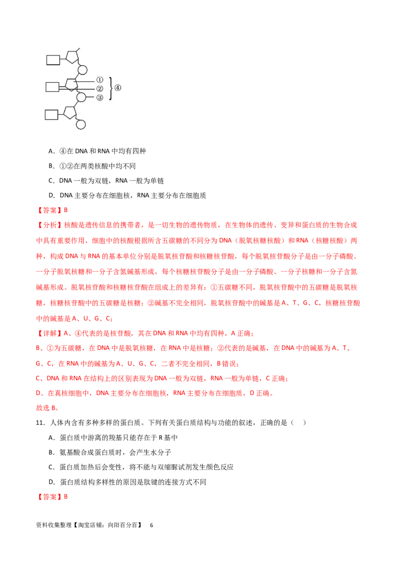 单元检测卷01细胞的概述及其组成分子（解析版）_新高考复习资料_2024年新高考复习资料_一轮复习资料_完2024年高考生物一轮复习考点通关卷（新高考）