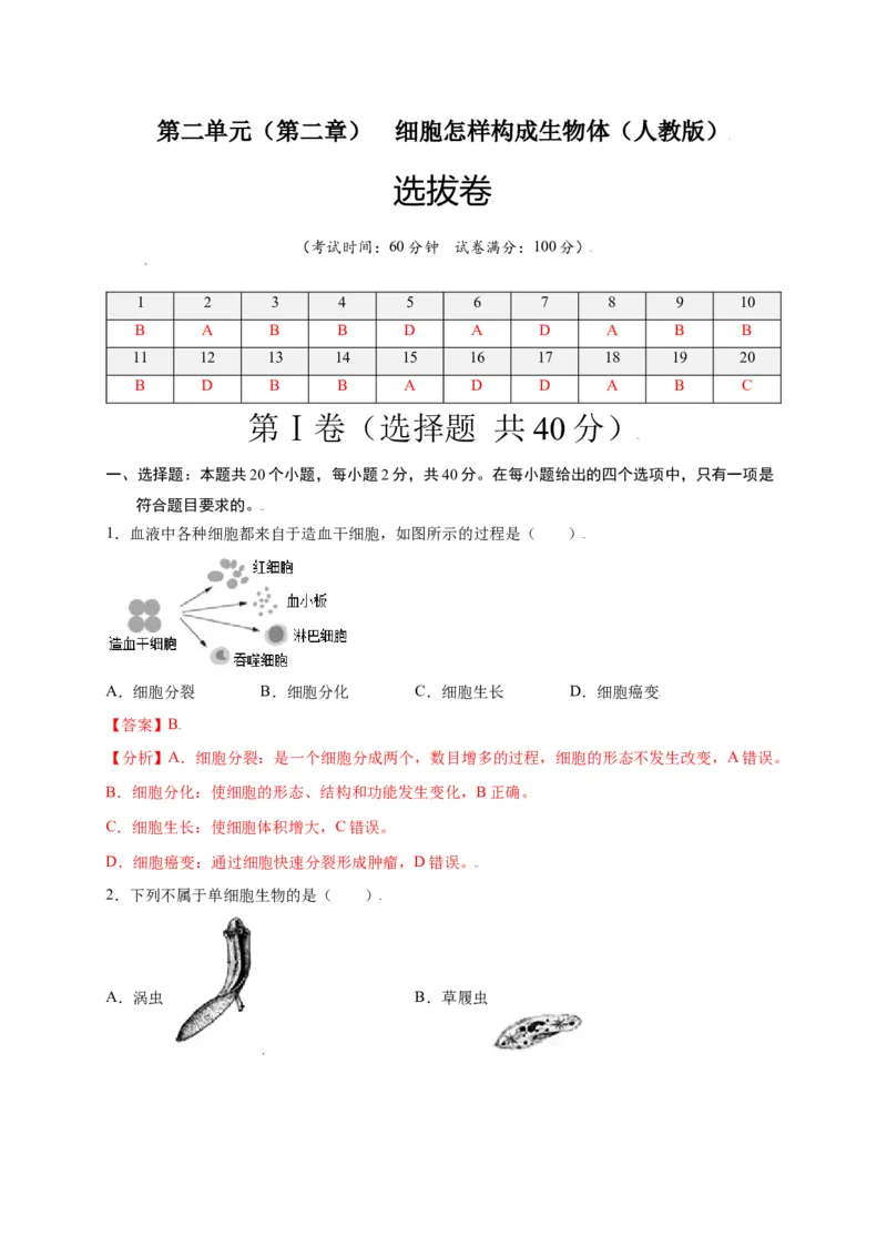第2单元（第2章）细胞怎样构成生物体（选拔卷）（人教版）（解析版）_初中全科电子版试卷练习试题_生物_生物人教版7上练习&mdash;24新版已更新_人教生物7年级上单元试卷36份