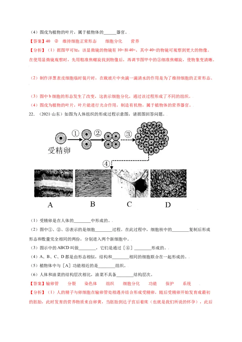 第2单元（第2章）细胞怎样构成生物体（选拔卷）（人教版）（解析版）_初中全科电子版试卷练习试题_生物_生物人教版7上练习&mdash;24新版已更新_人教生物7年级上单元试卷36份