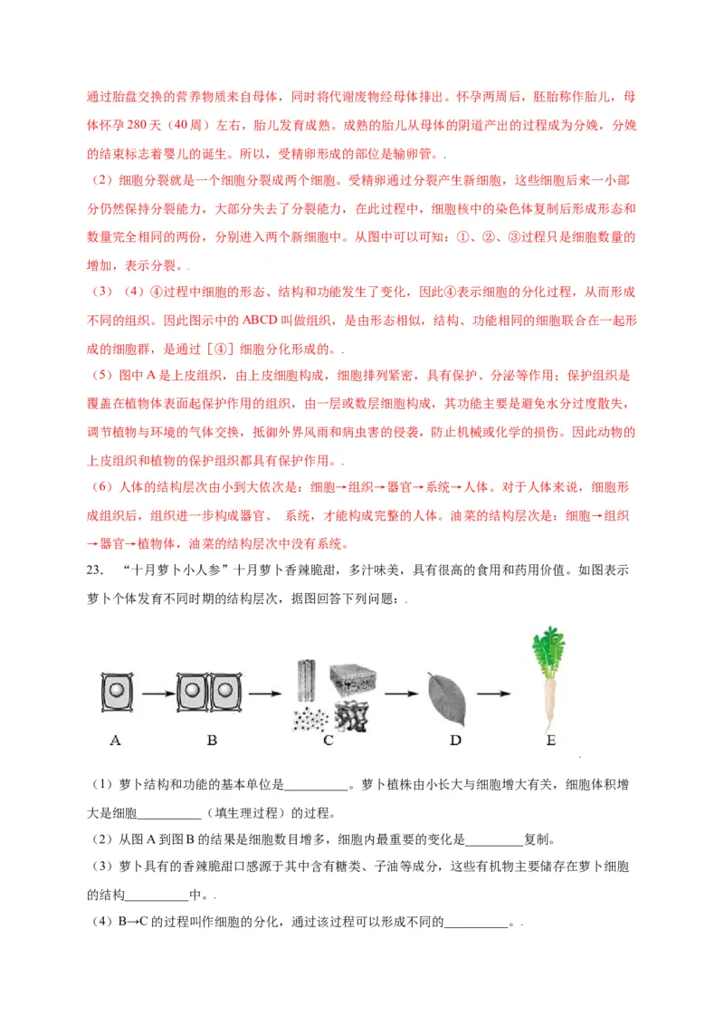 第2单元（第2章）细胞怎样构成生物体（选拔卷）（人教版）（解析版）_初中全科电子版试卷练习试题_生物_生物人教版7上练习&mdash;24新版已更新_人教生物7年级上单元试卷36份
