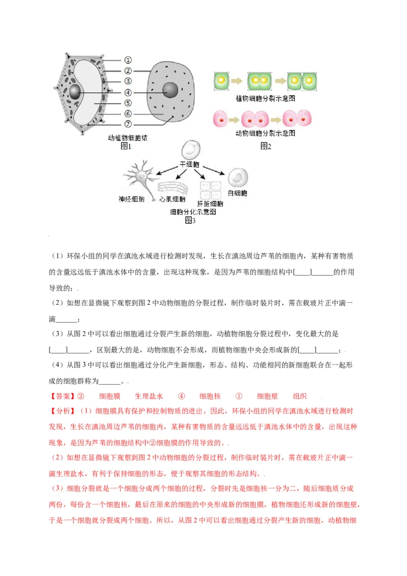 第2单元（第2章）细胞怎样构成生物体（选拔卷）（人教版）（解析版）_初中全科电子版试卷练习试题_生物_生物人教版7上练习&mdash;24新版已更新_人教生物7年级上单元试卷36份