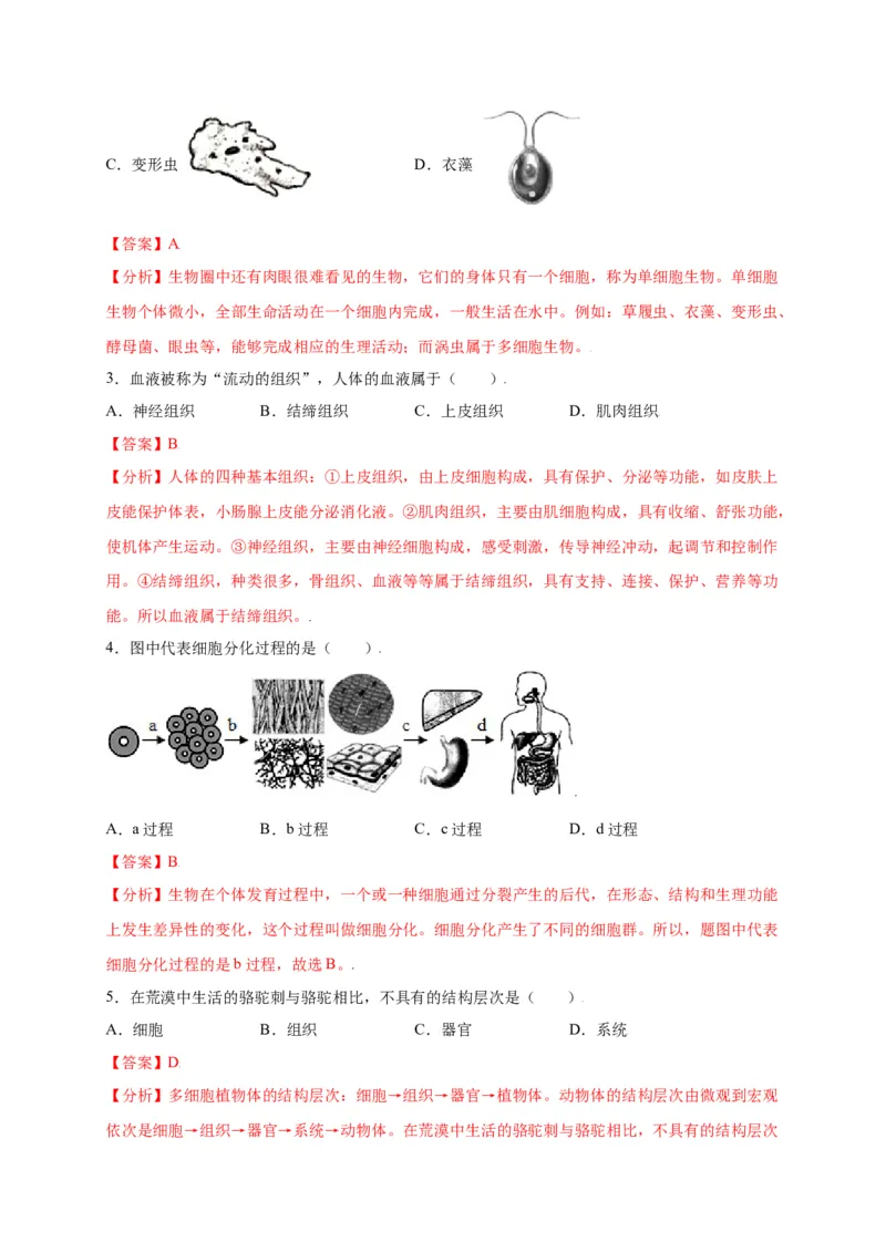 第2单元（第2章）细胞怎样构成生物体（选拔卷）（人教版）（解析版）_初中全科电子版试卷练习试题_生物_生物人教版7上练习&mdash;24新版已更新_人教生物7年级上单元试卷36份