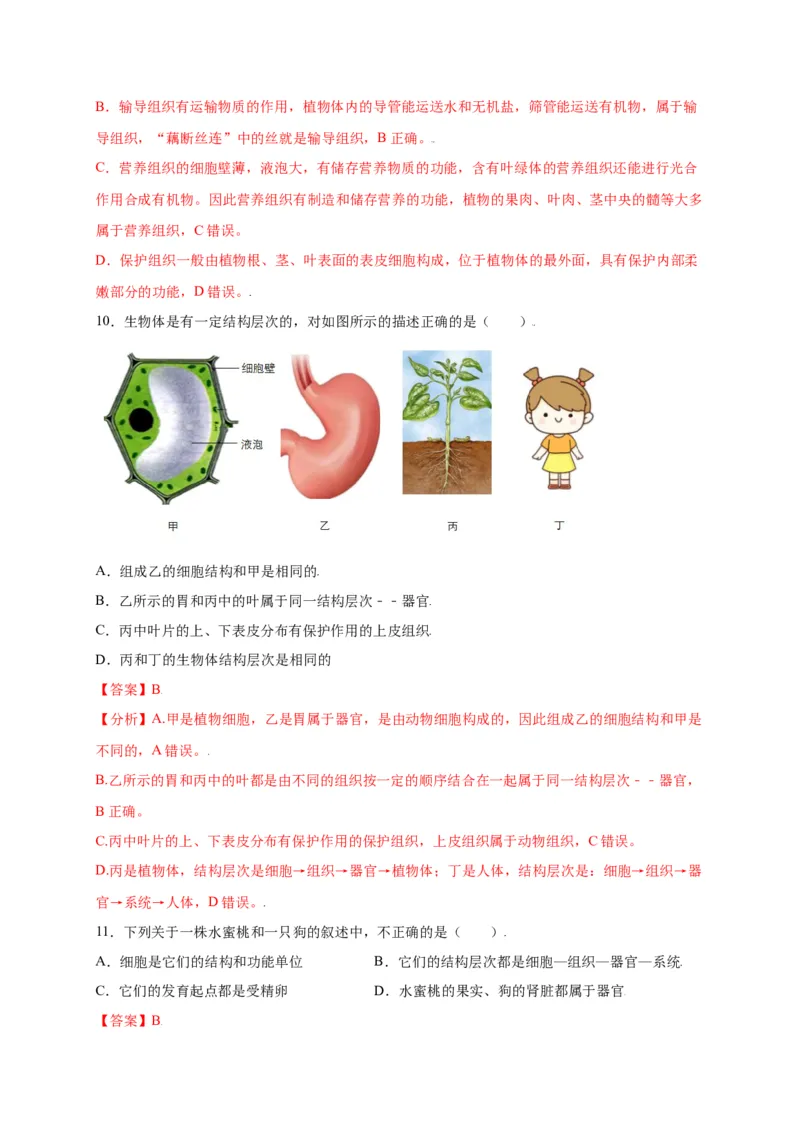 第2单元（第2章）细胞怎样构成生物体（选拔卷）（人教版）（解析版）_初中全科电子版试卷练习试题_生物_生物人教版7上练习&mdash;24新版已更新_人教生物7年级上单元试卷36份