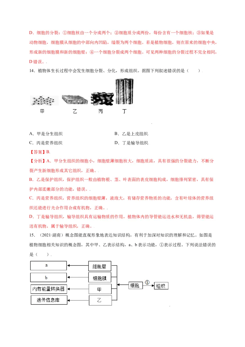 第2单元（第2章）细胞怎样构成生物体（选拔卷）（人教版）（解析版）_初中全科电子版试卷练习试题_生物_生物人教版7上练习&mdash;24新版已更新_人教生物7年级上单元试卷36份