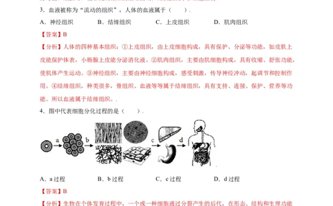 第2单元（第2章）细胞怎样构成生物体（选拔卷）（人教版）（解析版）_初中全科电子版试卷练习试题_生物_生物人教版7上练习&mdash;24新版已更新_人教生物7年级上单元试卷36份