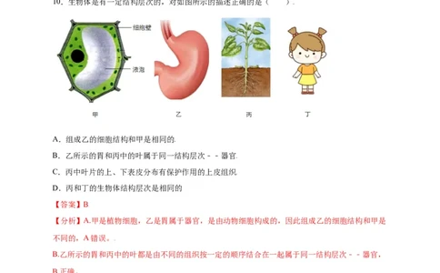 第2单元（第2章）细胞怎样构成生物体（选拔卷）（人教版）（解析版）_初中全科电子版试卷练习试题_生物_生物人教版7上练习&mdash;24新版已更新_人教生物7年级上单元试卷36份