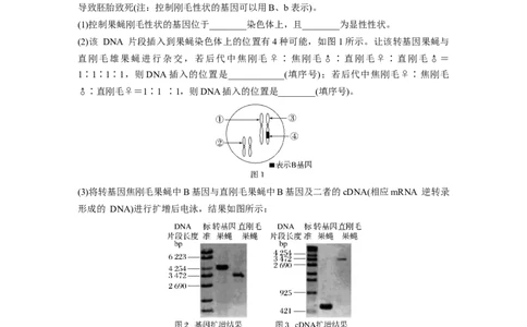 二轮专题强化练　重难大题集训(二)　遗传规律的推理和判断_通用版（老高考）复习资料_2023年复习资料_二轮复习_2023年高考生物二轮复习讲义+课件（全国版）_学生版_二轮专题强化练