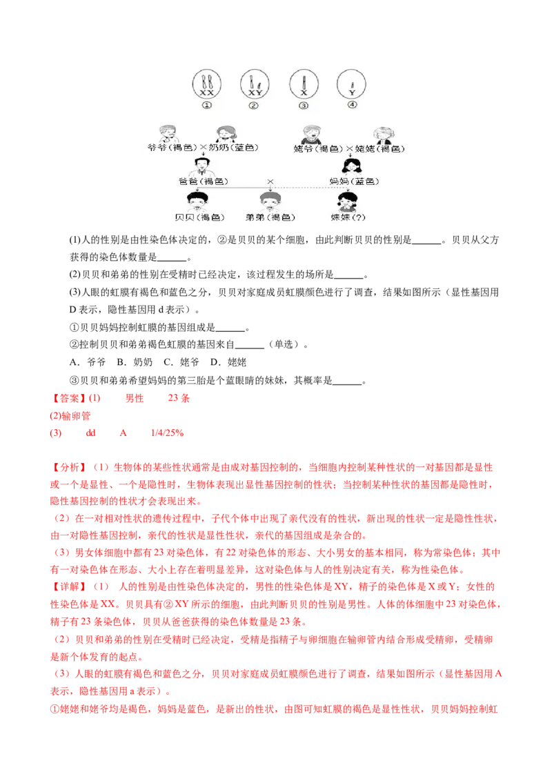 生物（泰州卷）（全解全析）_初中全科电子版试卷练习试题_生物_2024中考模拟题生物(1)_二模_生物（泰州卷）-：2024年中考第二次模拟考试