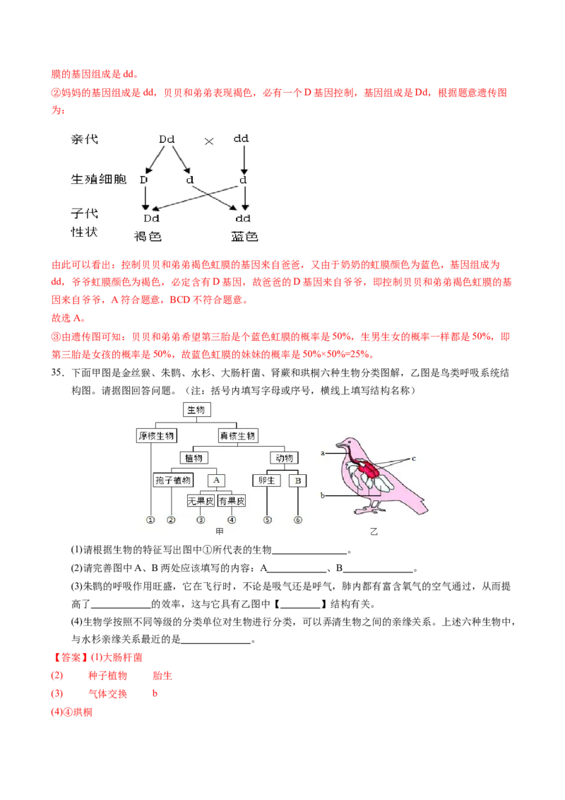 生物（泰州卷）（全解全析）_初中全科电子版试卷练习试题_生物_2024中考模拟题生物(1)_二模_生物（泰州卷）-：2024年中考第二次模拟考试