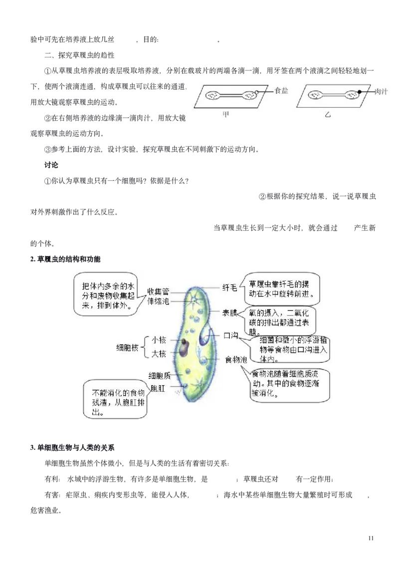 人教版7年级上册生物知识总结（学生版）27页2024秋新版教材_初中全科电子版试卷练习试题_生物_生物人教版7上练习&mdash;24新版已更新_人教生物七年级上知识汇总