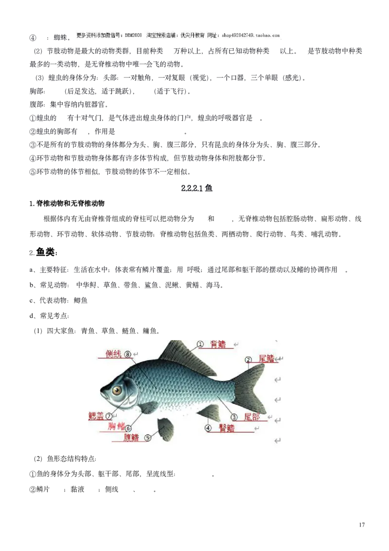 人教版7年级上册生物知识总结（学生版）27页2024秋新版教材_初中全科电子版试卷练习试题_生物_生物人教版7上练习&mdash;24新版已更新_人教生物七年级上知识汇总
