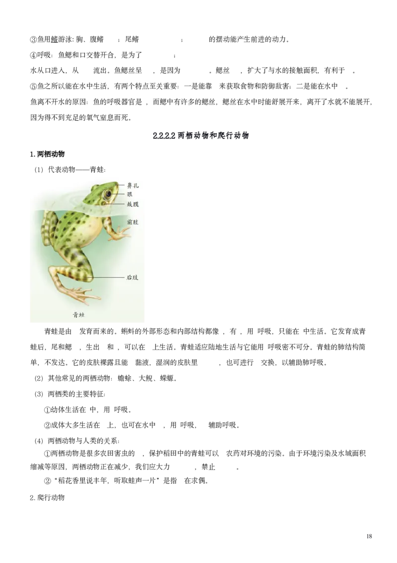 人教版7年级上册生物知识总结（学生版）27页2024秋新版教材_初中全科电子版试卷练习试题_生物_生物人教版7上练习&mdash;24新版已更新_人教生物七年级上知识汇总