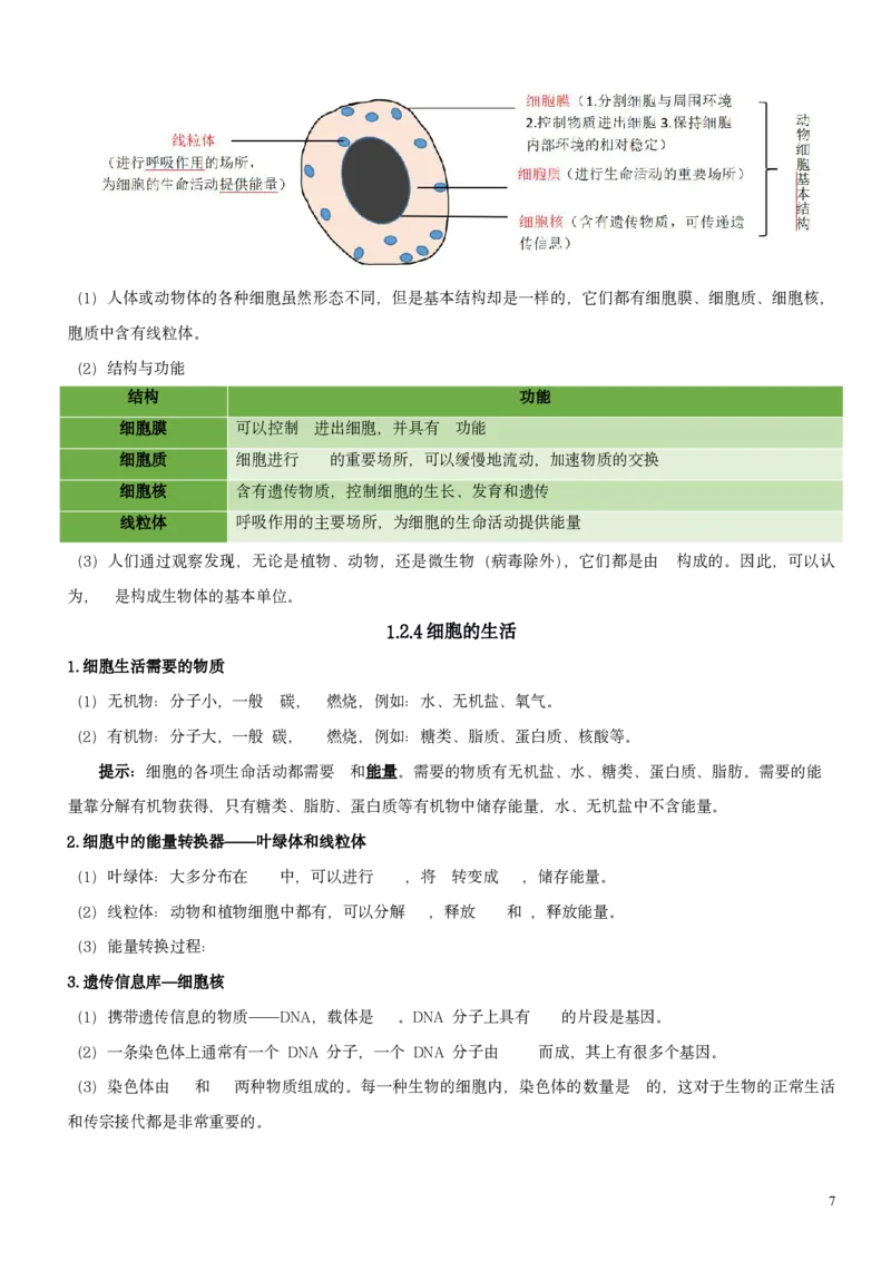 人教版7年级上册生物知识总结（学生版）27页2024秋新版教材_初中全科电子版试卷练习试题_生物_生物人教版7上练习&mdash;24新版已更新_人教生物七年级上知识汇总