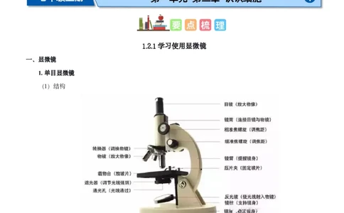 人教版7年级上册生物知识总结（学生版）27页2024秋新版教材_初中全科电子版试卷练习试题_生物_生物人教版7上练习&mdash;24新版已更新_人教生物七年级上知识汇总