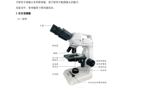 人教版7年级上册生物知识总结（学生版）27页2024秋新版教材_初中全科电子版试卷练习试题_生物_生物人教版7上练习&mdash;24新版已更新_人教生物七年级上知识汇总