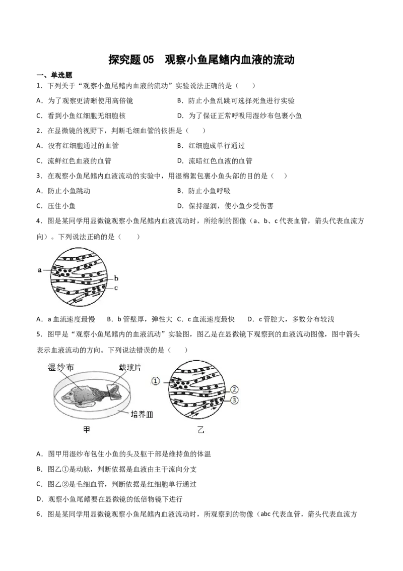 探究题05观察小鱼尾鳍内血液的流动-七年级生物下册教材实验探究必刷题（人教版）（原卷版）_初中全科电子版试卷练习试题_生物_生物人教版7下练习