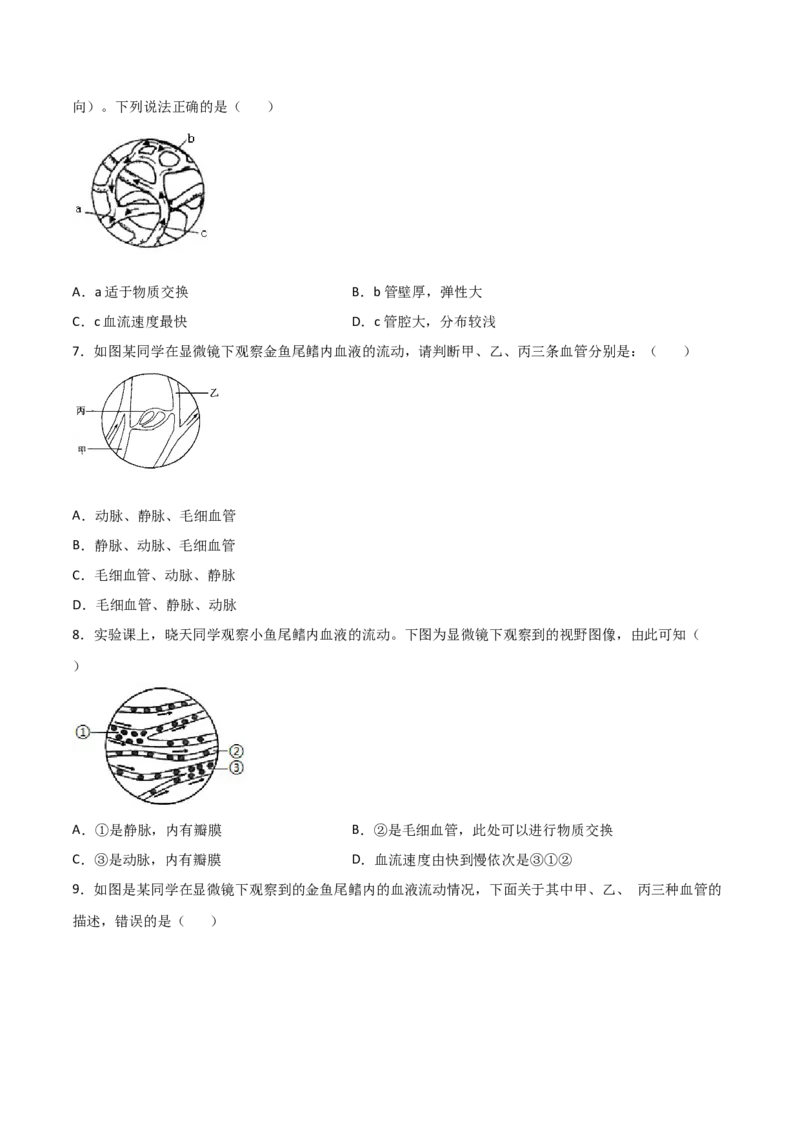 探究题05观察小鱼尾鳍内血液的流动-七年级生物下册教材实验探究必刷题（人教版）（原卷版）_初中全科电子版试卷练习试题_生物_生物人教版7下练习