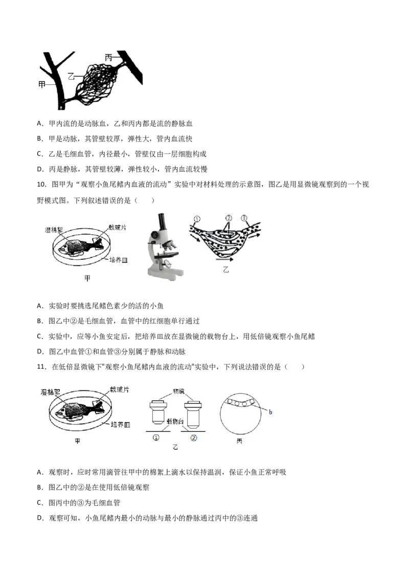 探究题05观察小鱼尾鳍内血液的流动-七年级生物下册教材实验探究必刷题（人教版）（原卷版）_初中全科电子版试卷练习试题_生物_生物人教版7下练习