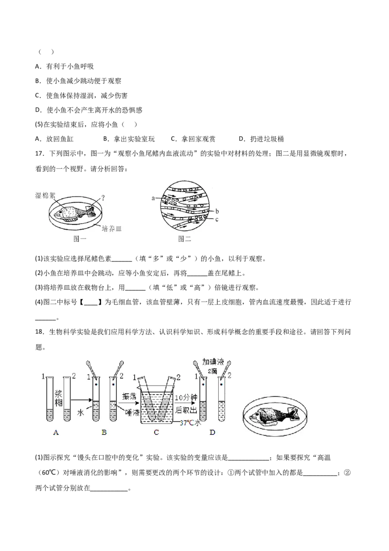 探究题05观察小鱼尾鳍内血液的流动-七年级生物下册教材实验探究必刷题（人教版）（原卷版）_初中全科电子版试卷练习试题_生物_生物人教版7下练习