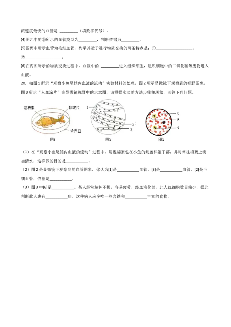 探究题05观察小鱼尾鳍内血液的流动-七年级生物下册教材实验探究必刷题（人教版）（原卷版）_初中全科电子版试卷练习试题_生物_生物人教版7下练习