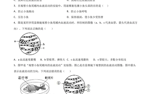 探究题05观察小鱼尾鳍内血液的流动-七年级生物下册教材实验探究必刷题（人教版）（原卷版）_初中全科电子版试卷练习试题_生物_生物人教版7下练习