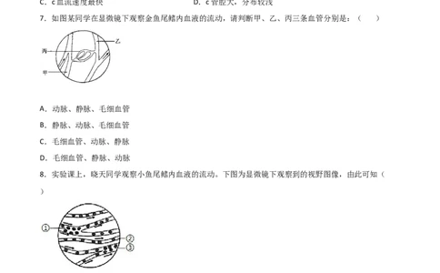 探究题05观察小鱼尾鳍内血液的流动-七年级生物下册教材实验探究必刷题（人教版）（原卷版）_初中全科电子版试卷练习试题_生物_生物人教版7下练习