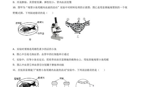 探究题05观察小鱼尾鳍内血液的流动-七年级生物下册教材实验探究必刷题（人教版）（原卷版）_初中全科电子版试卷练习试题_生物_生物人教版7下练习