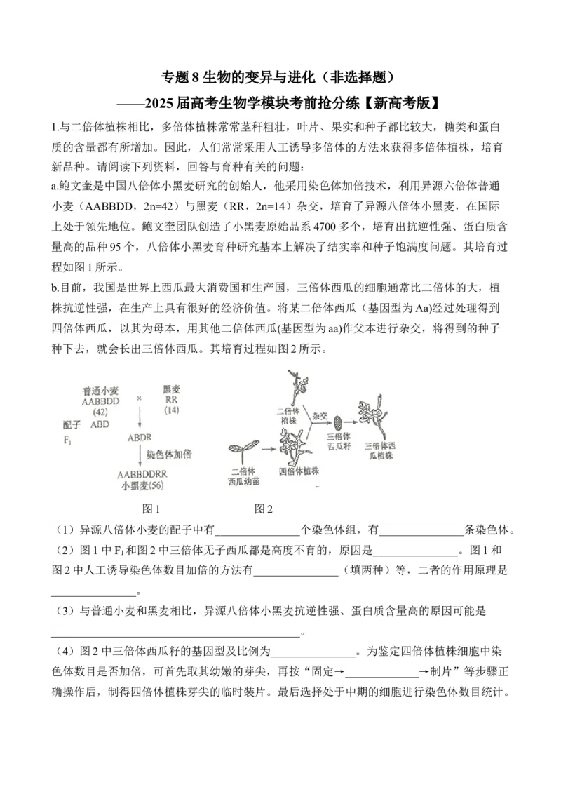 专题8生物的变异与进化（非选择题）&mdash;&mdash;2025届高考生物学模块分练新高考版（含解析）_2025年新高考资料_二轮复习