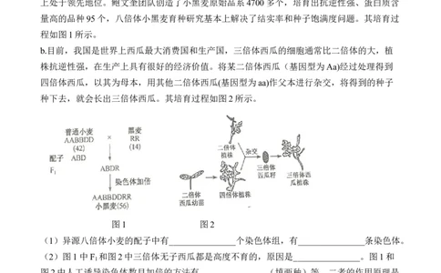 专题8生物的变异与进化（非选择题）&mdash;&mdash;2025届高考生物学模块分练新高考版（含解析）_2025年新高考资料_二轮复习