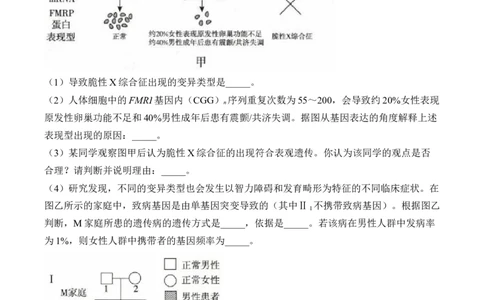 专题8生物的变异与进化（非选择题）&mdash;&mdash;2025届高考生物学模块分练新高考版（含解析）_2025年新高考资料_二轮复习