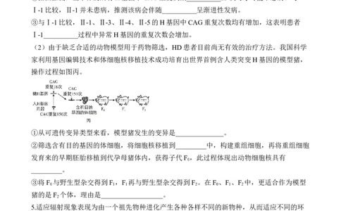 专题8生物的变异与进化（非选择题）&mdash;&mdash;2025届高考生物学模块分练新高考版（含解析）_2025年新高考资料_二轮复习