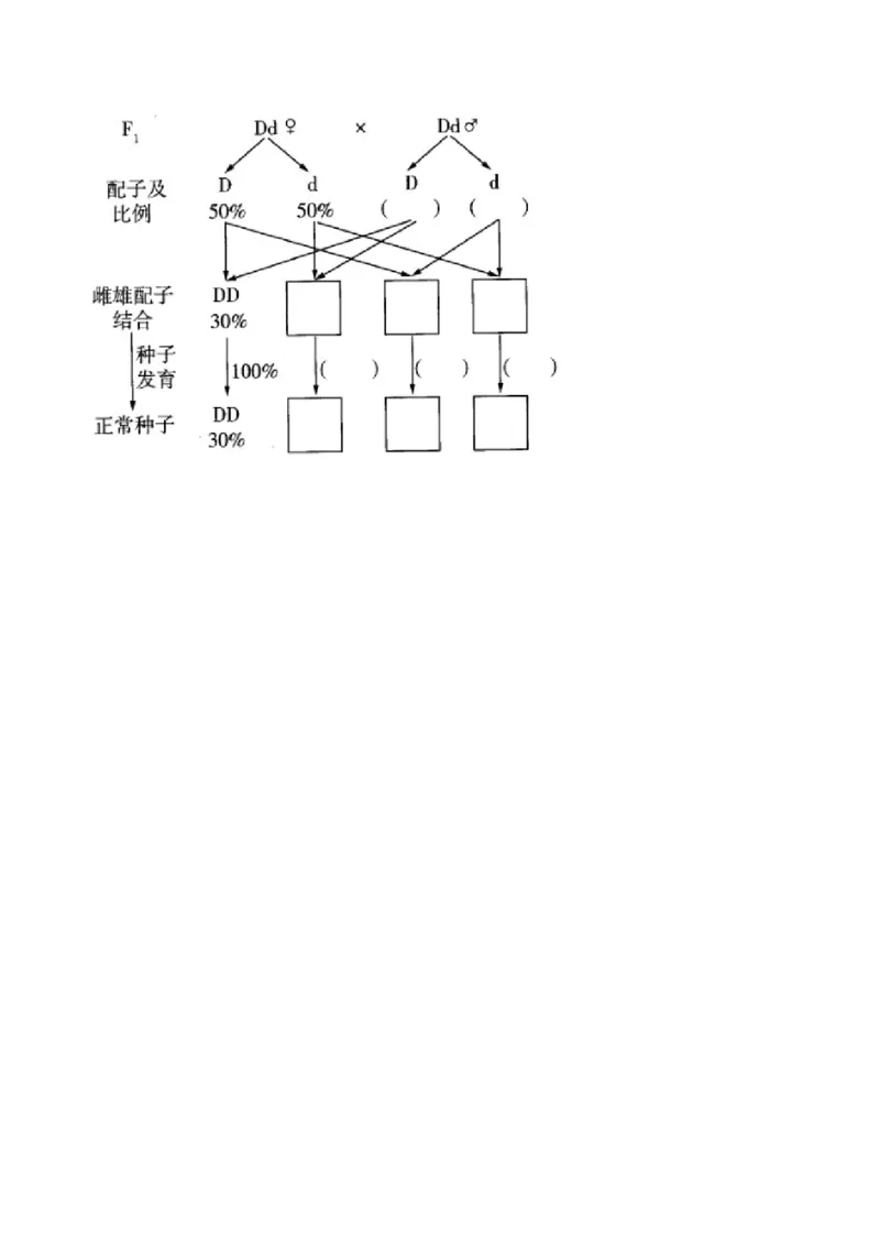 专题6遗传的基本规律（非选择题）&mdash;&mdash;2025届高考生物学模块分练新高考版（含解析）_2025年新高考资料_二轮复习_新高考版2025届高考生物学模块分练选择题与非选择题（含解析）